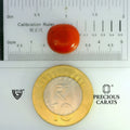 ITLGR_104494_SCALE.webp