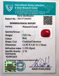 ITLGR_104495_CERTIFICATE.webp