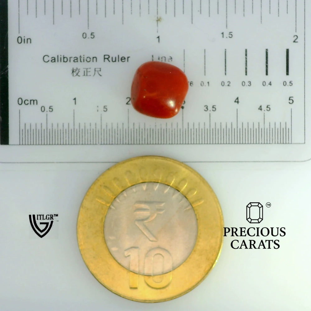 ITLGR_104499_SCALE.webp