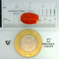 ITLGR_104500_SCALE.webp