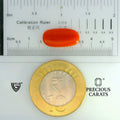 ITLGR_104501_SCALE.webp