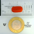 ITLGR_104504_SCALE.webp