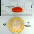 ITLGR_104512_SCALE.webp