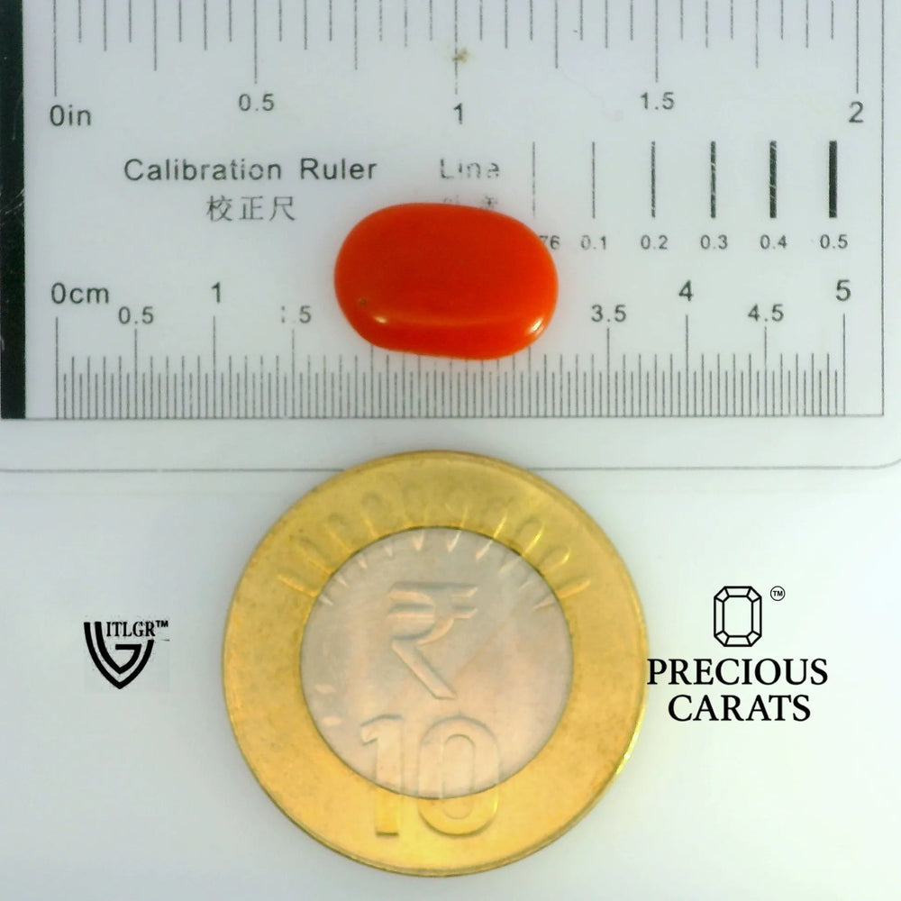 ITLGR_104513_SCALE.webp