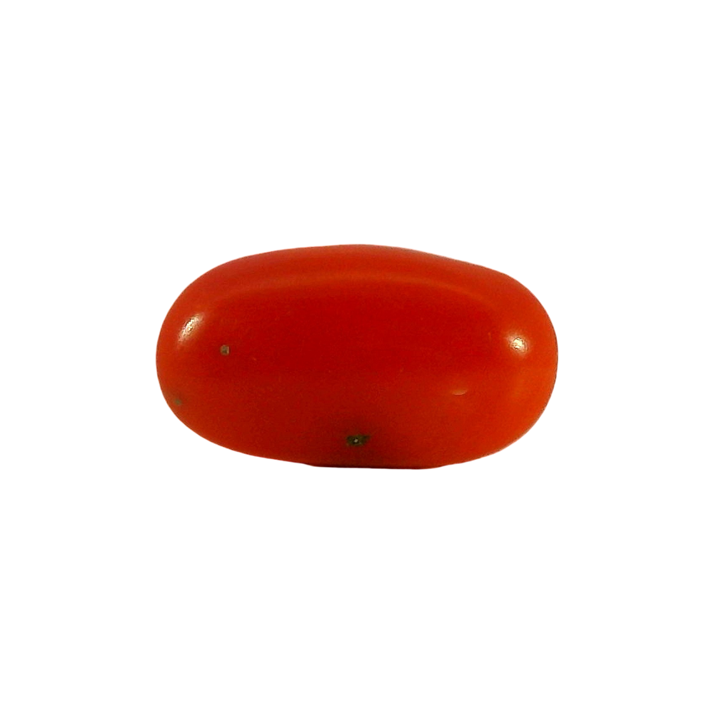 Japanese Coral 5.30 Carat