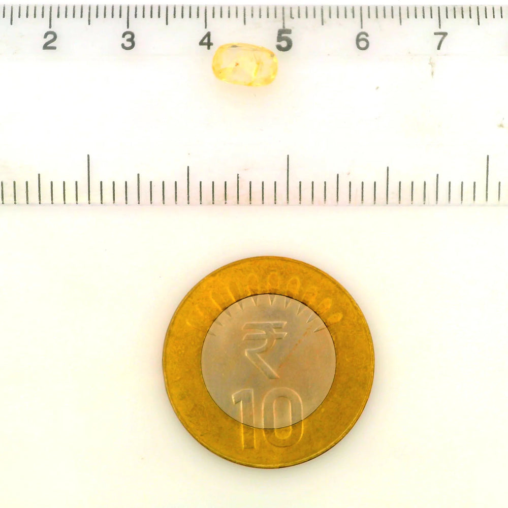 ITLGR_104933_SCALE.webp