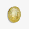 ITLGR_104935_TOP.webp.jpg