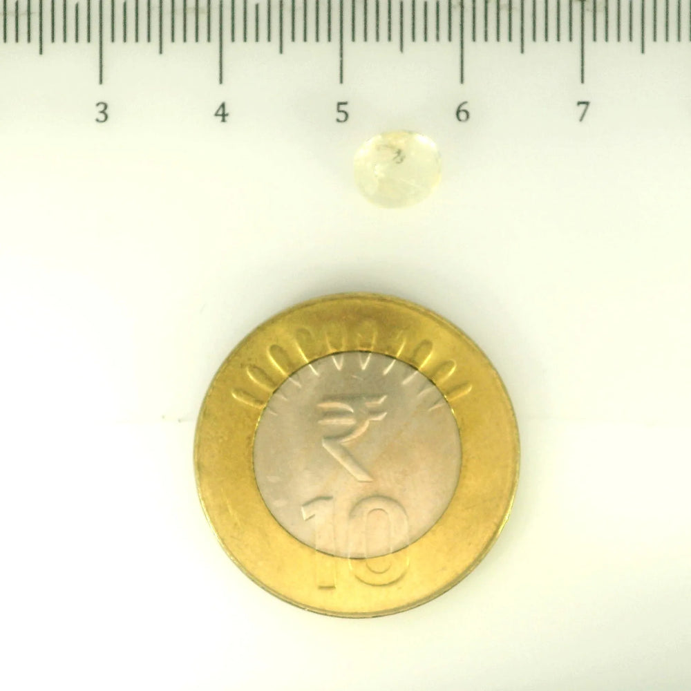 ITLGR_104952_SCALE.webp