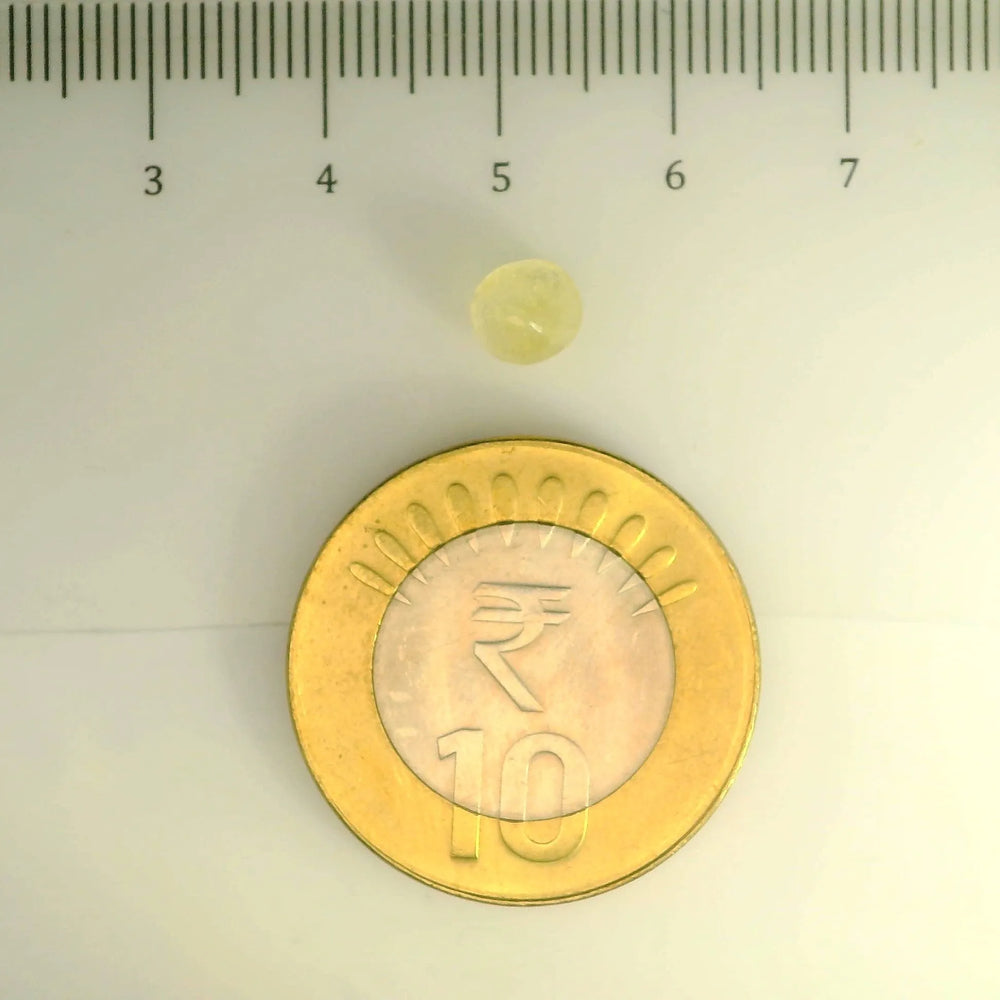 ITLGR_104953_SCALE.webp