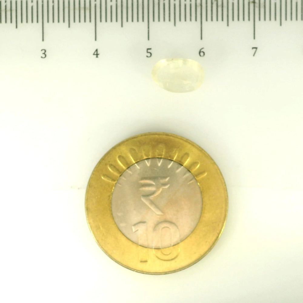 ITLGR_104963_SCALE.webp
