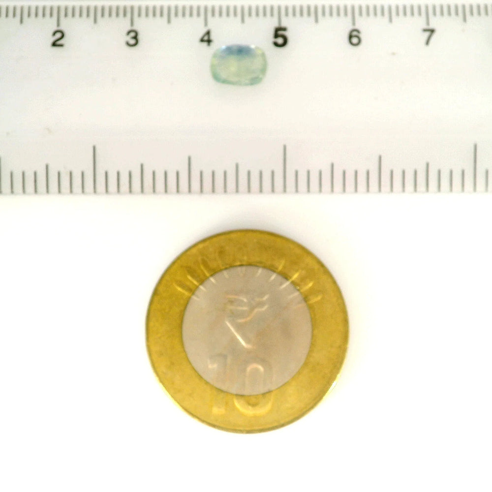 ITLGR_105029_SCALE.webp