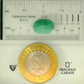 ITLGR_105076_SCALE.webp