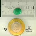 ITLGR_105078_SCALE.webp