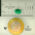 ITLGR_105079_SCALE.webp