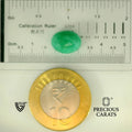 ITLGR_105080_SCALE.webp