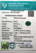 ITLGR_105089_CERTIFICATE.webp