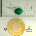 ITLGR_105089_SCALE.webp