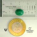 ITLGR_105095_SCALE.webp