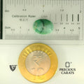 ITLGR_105097_SCALE.webp