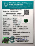 ITLGR_105099_CERTIFICATE.webp
