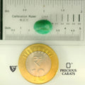 ITLGR_105100_SCALE.webp