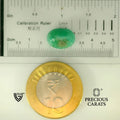 ITLGR_105101_SCALE.webp