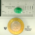 ITLGR_105102_SCALE.webp