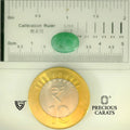 ITLGR_105103_SCALE.webp