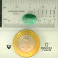 ITLGR_105105_SCALE.webp