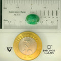 ITLGR_105108_SCALE.webp