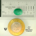 ITLGR_105111_SCALE.webp