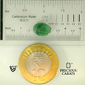 ITLGR_105112_SCALE.webp