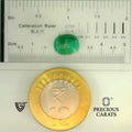 ITLGR_105117_SCALE.webp