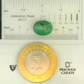ITLGR_105125_SCALE.webp