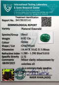 ITLGR_105141_CERTIFICATE.webp