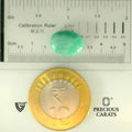 ITLGR_105141_SCALE.webp
