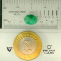 ITLGR_105142_SCALE.webp