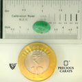 ITLGR_105143_SCALE.webp