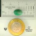 ITLGR_105144_SCALE.webp
