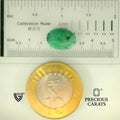 ITLGR_105146_SCALE.webp