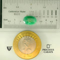 ITLGR_105147_SCALE.webp