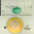 ITLGR_105149_SCALE.webp