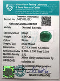 ITLGR_105213_CERTIFICATE.webp