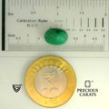 ITLGR_105215_SCALE.webp