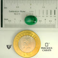 ITLGR_105217_SCALE.webp