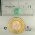 ITLGR_105233_SCALE.webp