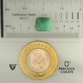ITLGR_105240_SCALE.webp