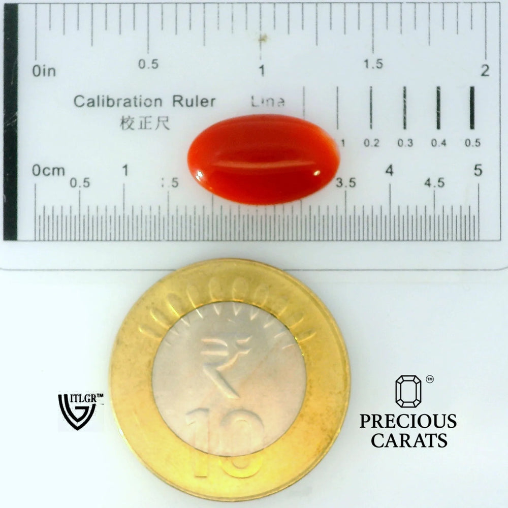 ITLGR_105269_SCALE.webp