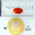 ITLGR_105270_SCALE.webp
