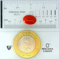 ITLGR_105271_SCALE.webp